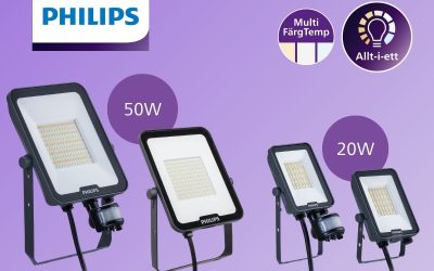 Ledinaire floodlight